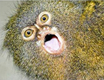<b><c>Ethan_Mars</c></b><br><br>